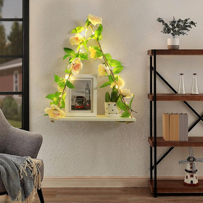 Floating Shelves for Wall,Plant Wall Decor,Hanging Shelf,Cottage Core Decor,Room Decor Aesthetic,Boho Room,Adhesive Shelves,Floating Shelves for No Drilling,Two-Piece Set(Champagne Flower)