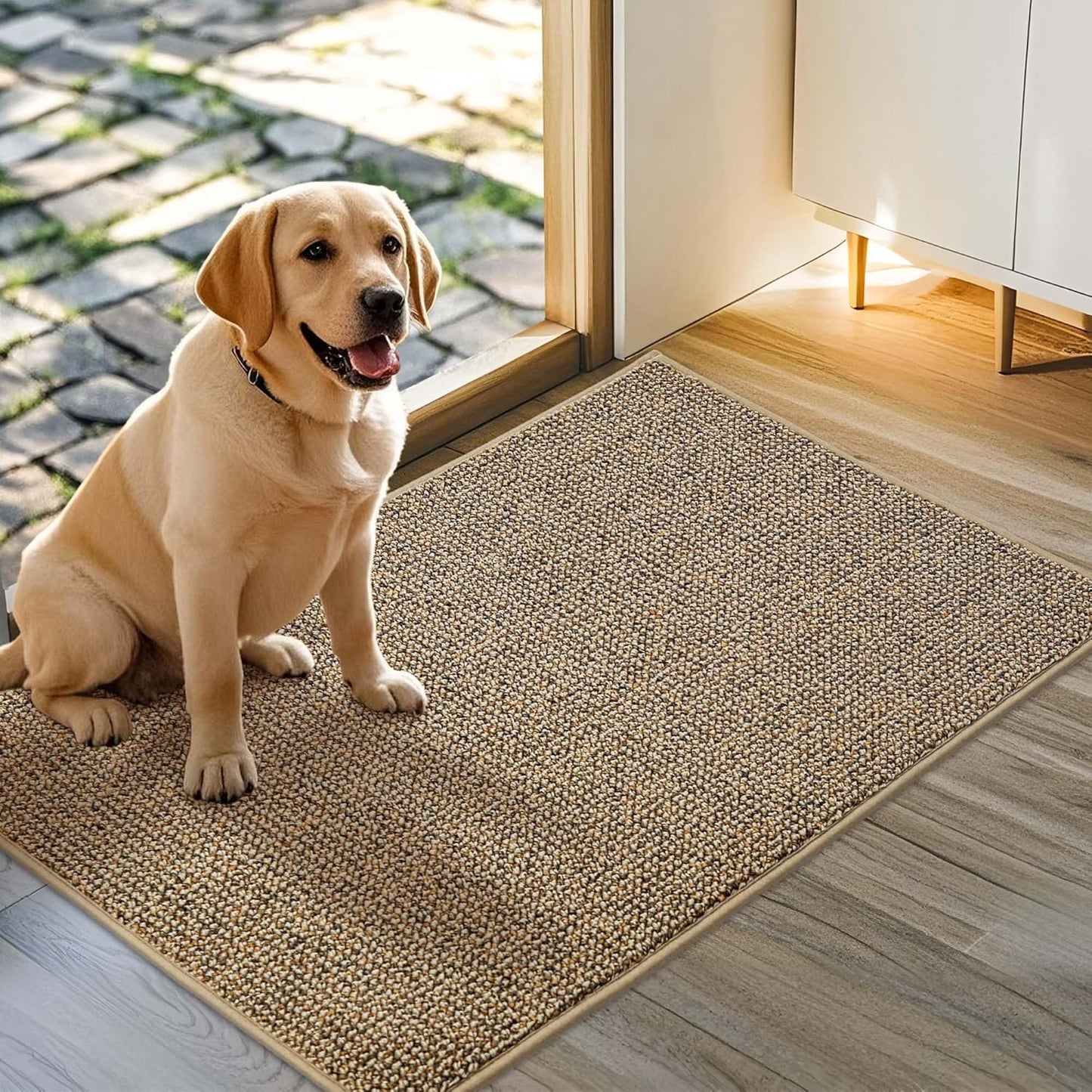 JSEI Dirt Trapper Door Mat 24"x36" Non-Slip Washable Entrance Mat, Dog Doormats, Absorbent & Fade-Resistant Floor Mats, Low Profile Welcome Mats for Entryway, Front Door, and Inside Entrance, Beige