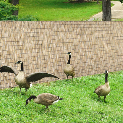 Natural 6FT X 16.4FT Reed Fencing Roll, Balcony Privacy Shade Reed Bamboo Fencing Garden Fence Border, Wind Block Sunshade Fence Screen for Outdoor Yard Patio Flower Bed Edge