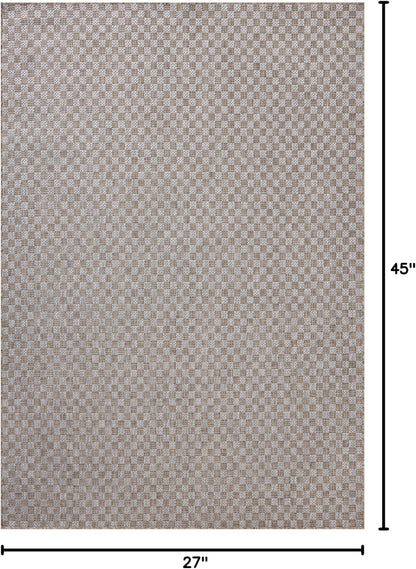 Loloi Amber Lewis Topanga Collection TOP-02 Natural/Silver 2'-3" x 3'-9" Indoor/Outdoor Area Rug