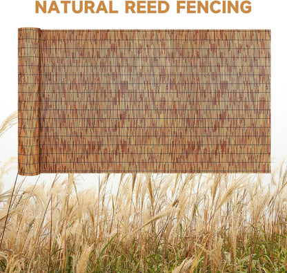ZNCMRR Reed Fencing Rolls Natural Bamboo Fence 5.5 Feet High Privacy Screen Curtains Fence for Balcony Patio Garden Backyard Shades Outdoor 5.5FT X 16.4FT （Brown）