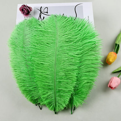 THARAHT Blue Ostrich Feathers 12pcs Natural Bulk 10-12Inch 25cm-30cm for Crafts Wedding Party Centerpieces Easter Gatsbi and Home Decoration Feathers