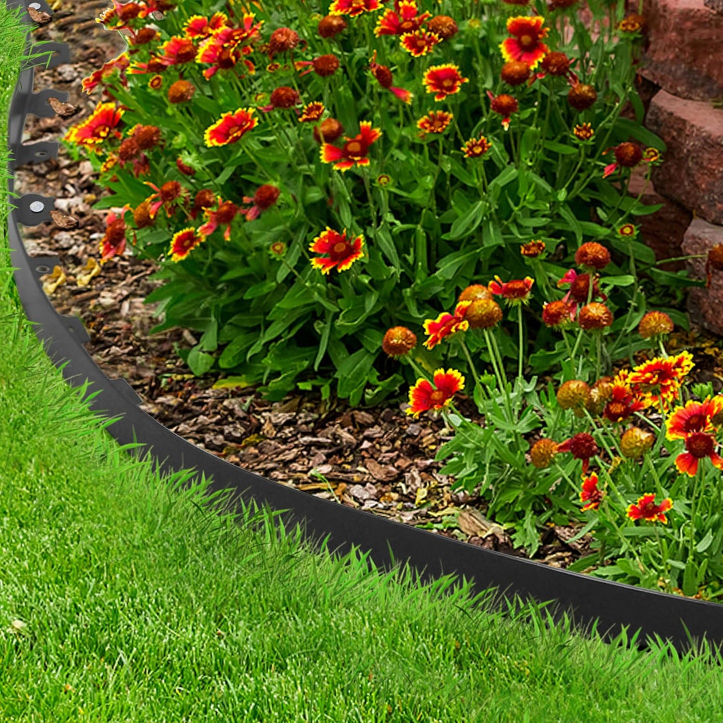 Gardzen 1.5" x 60' Landscape Edging Kit, Garden Edging Coil Comes with 60 Pcs Spikes, No Dig Lawn Border Design