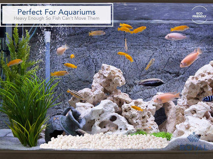 Royal Imports 5LB Decorative Stones River Pebbles Painting Rocks for Fish Aquariums, Plant Gravel, Landscaping, Home Decor Natural - Small White