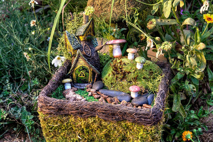 SuperMoss (50310) Fairy Garden Kit, Mixed Mosses, 4 oz., Multicolor