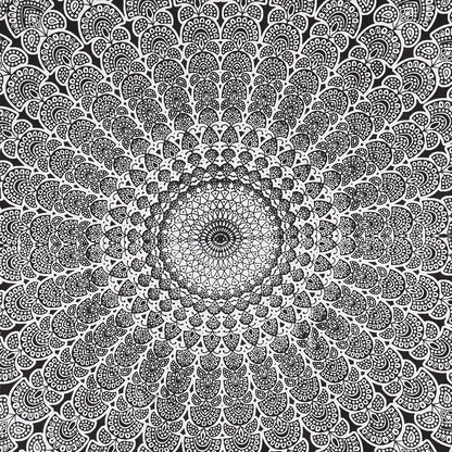Bless International Handmade Indian hippie Bohemian Psychedelic Peacock Mandala Wall hanging College Dorm Beach Throws Table Cloth Bedding Tapestry (Black White, Twin(54x72Inches)(140x185cms))