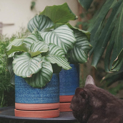 6 + 8 Inch Plant Pots, Ceramic Planter Pot with Drainage Hole & Saucer, Indoor/Outdoor Cylinder Round Planter Pot, Aqua Blue & Terracotta